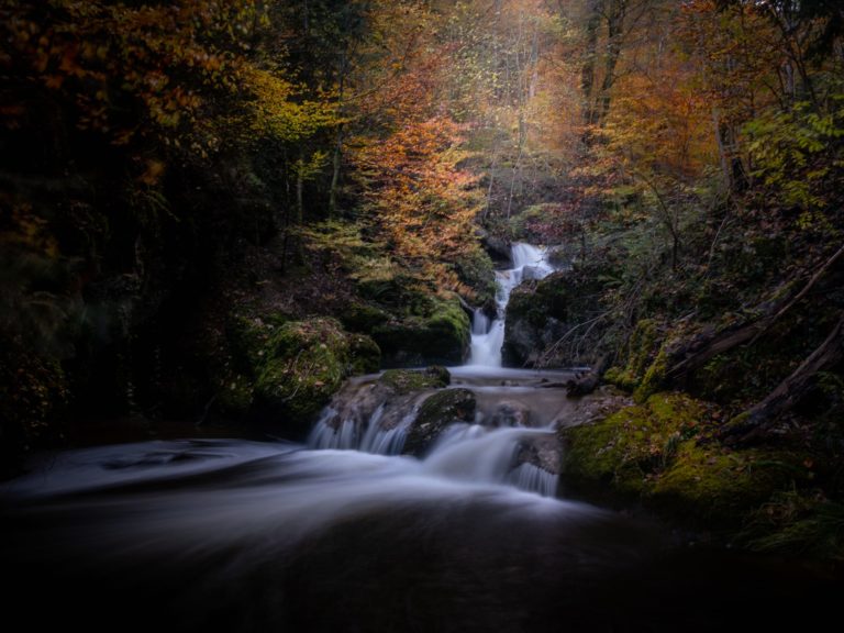 lumières d automne