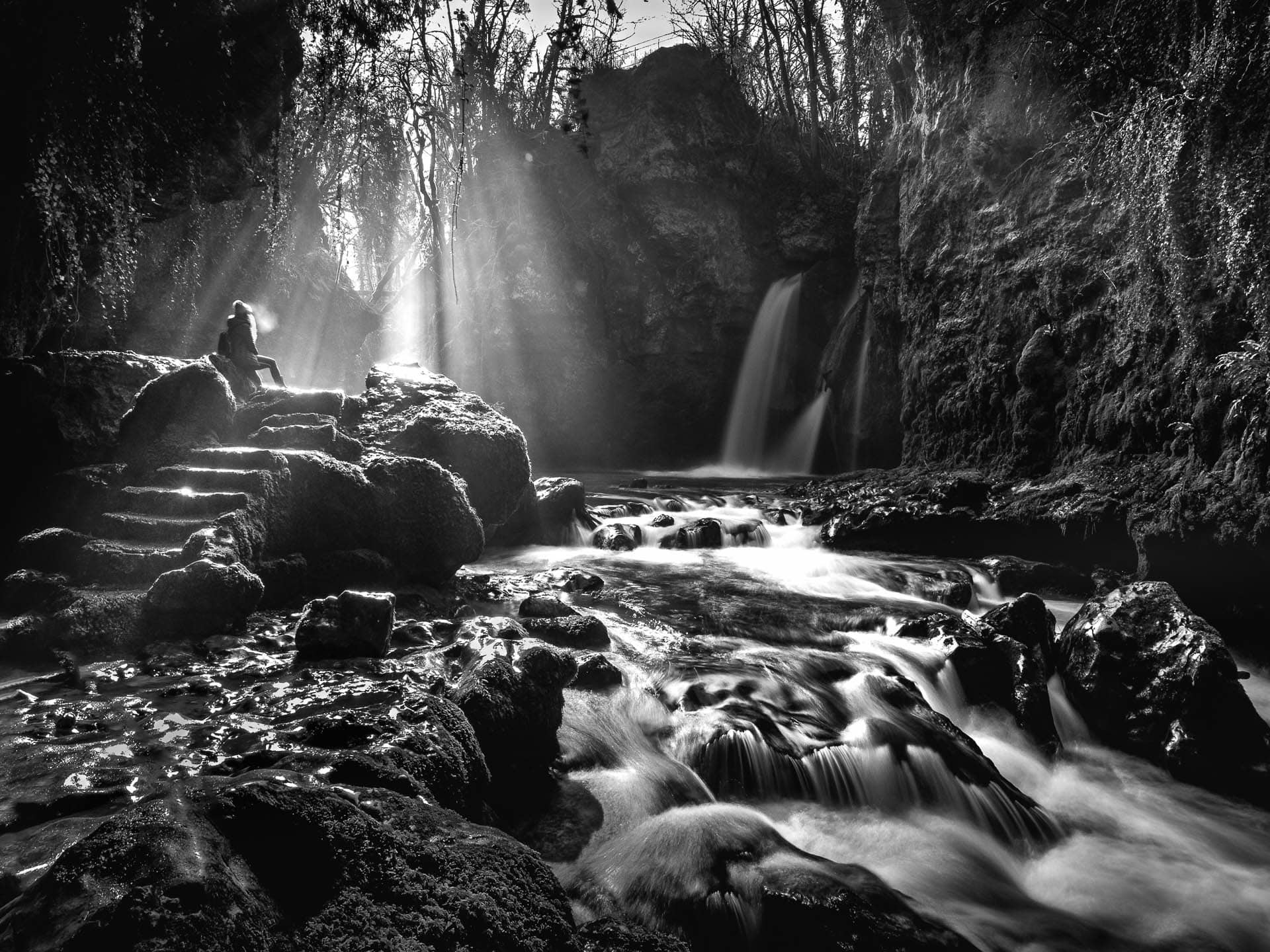 dsf5201 modifier modifier light