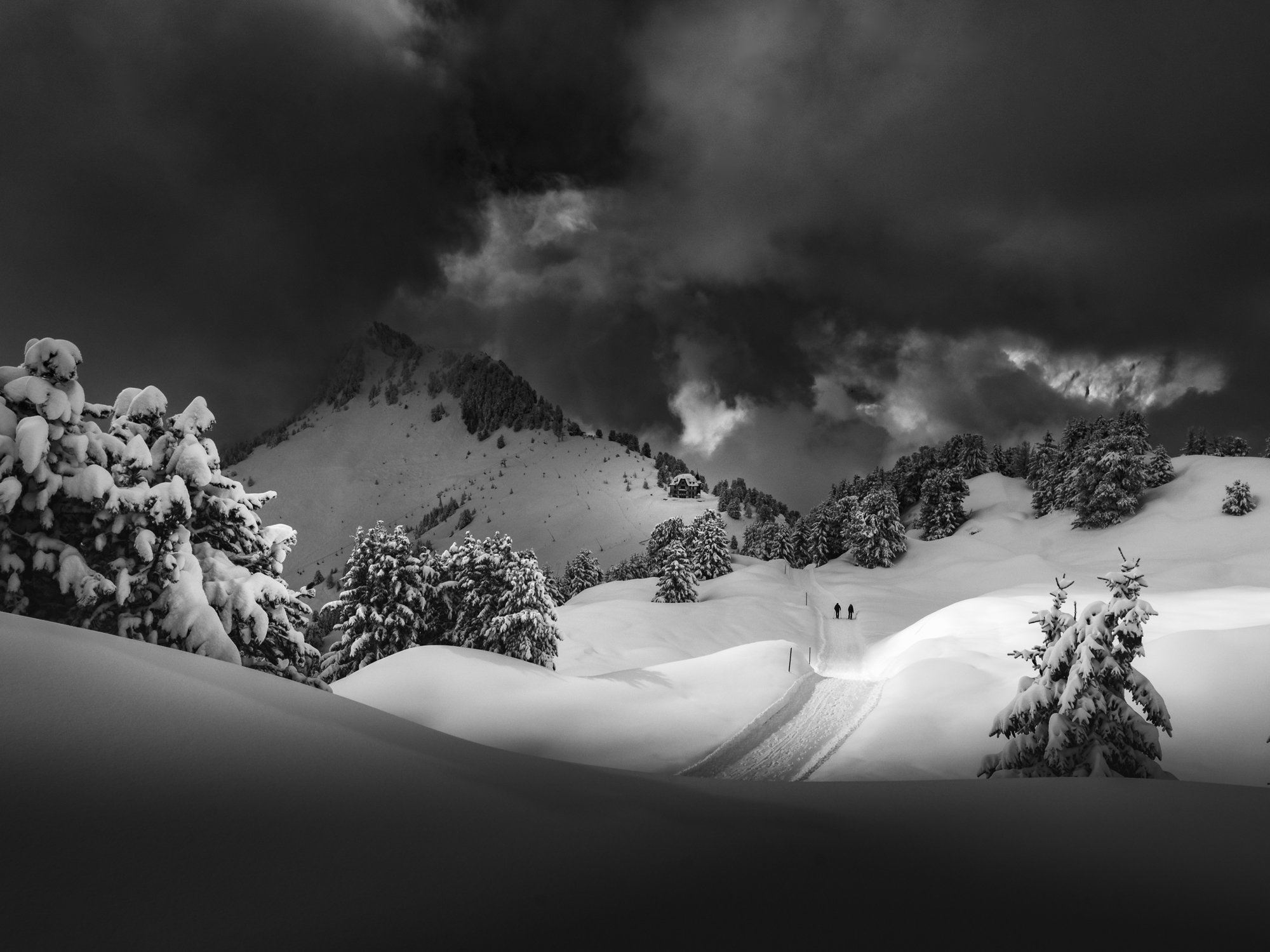 promenade dans la neige