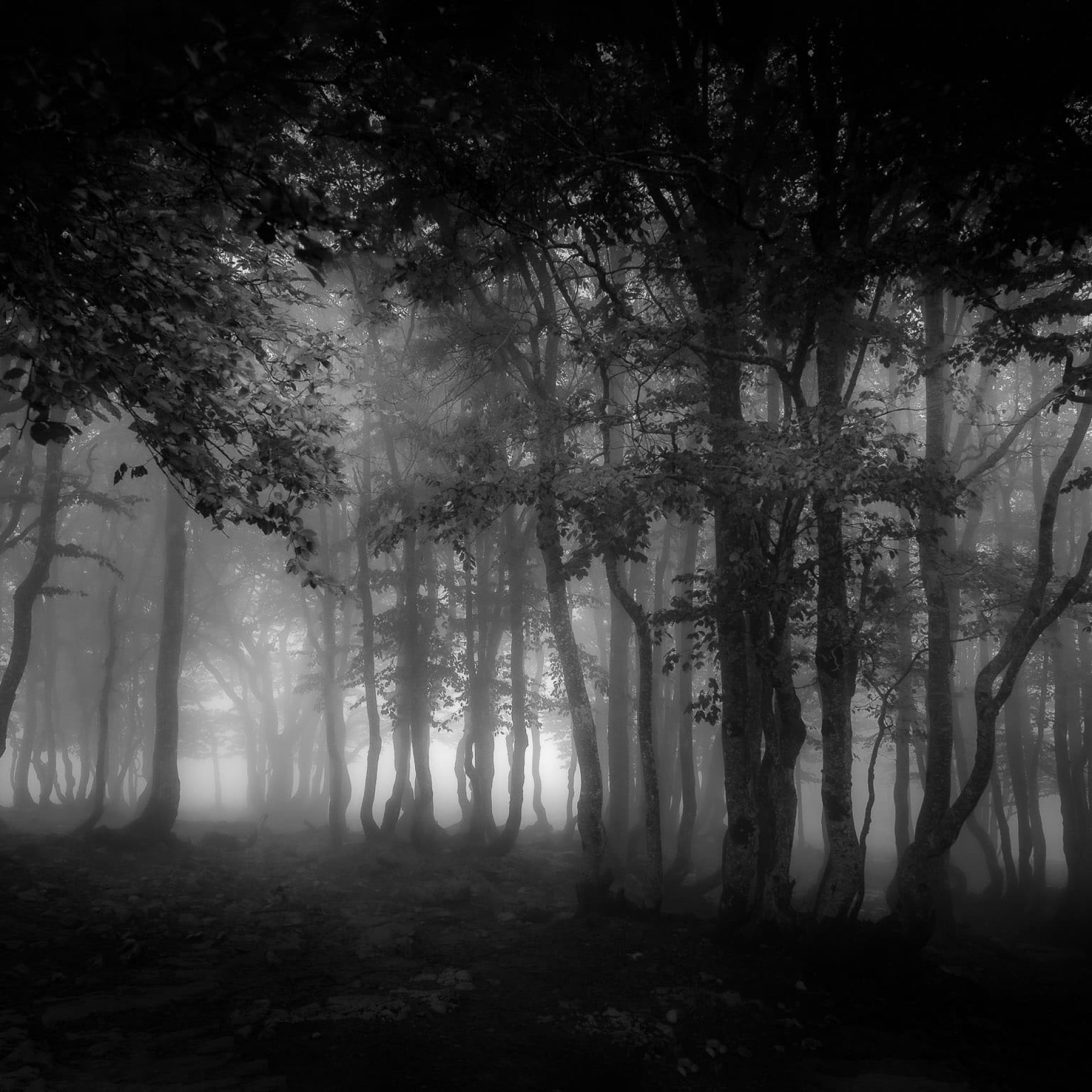 dscf3763 modifier 2 light