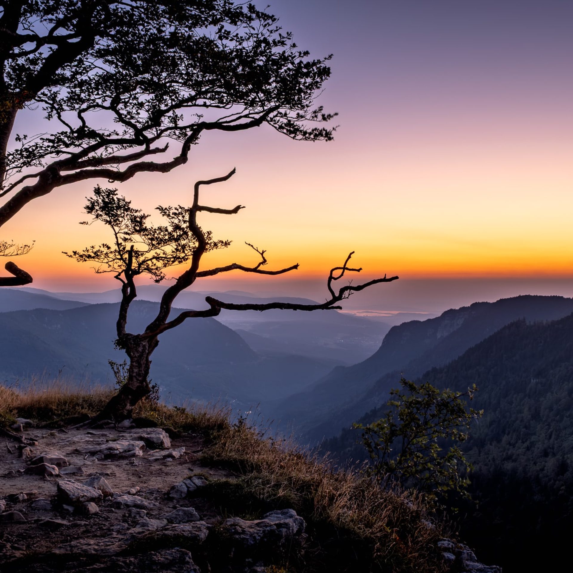 dscf4087 avec accentuation bruit modifier 2