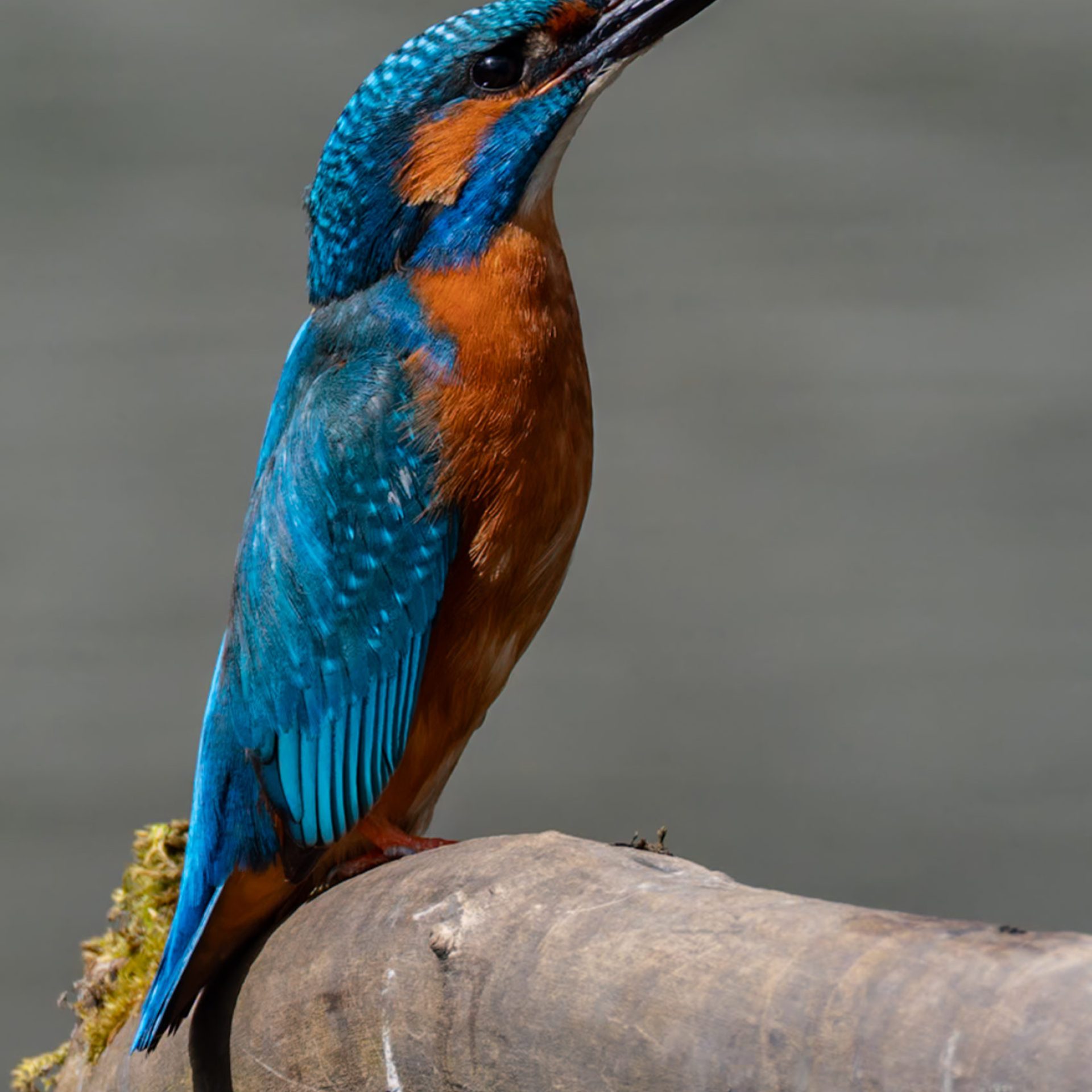 dsf8957 raf dxo deepprimexd2