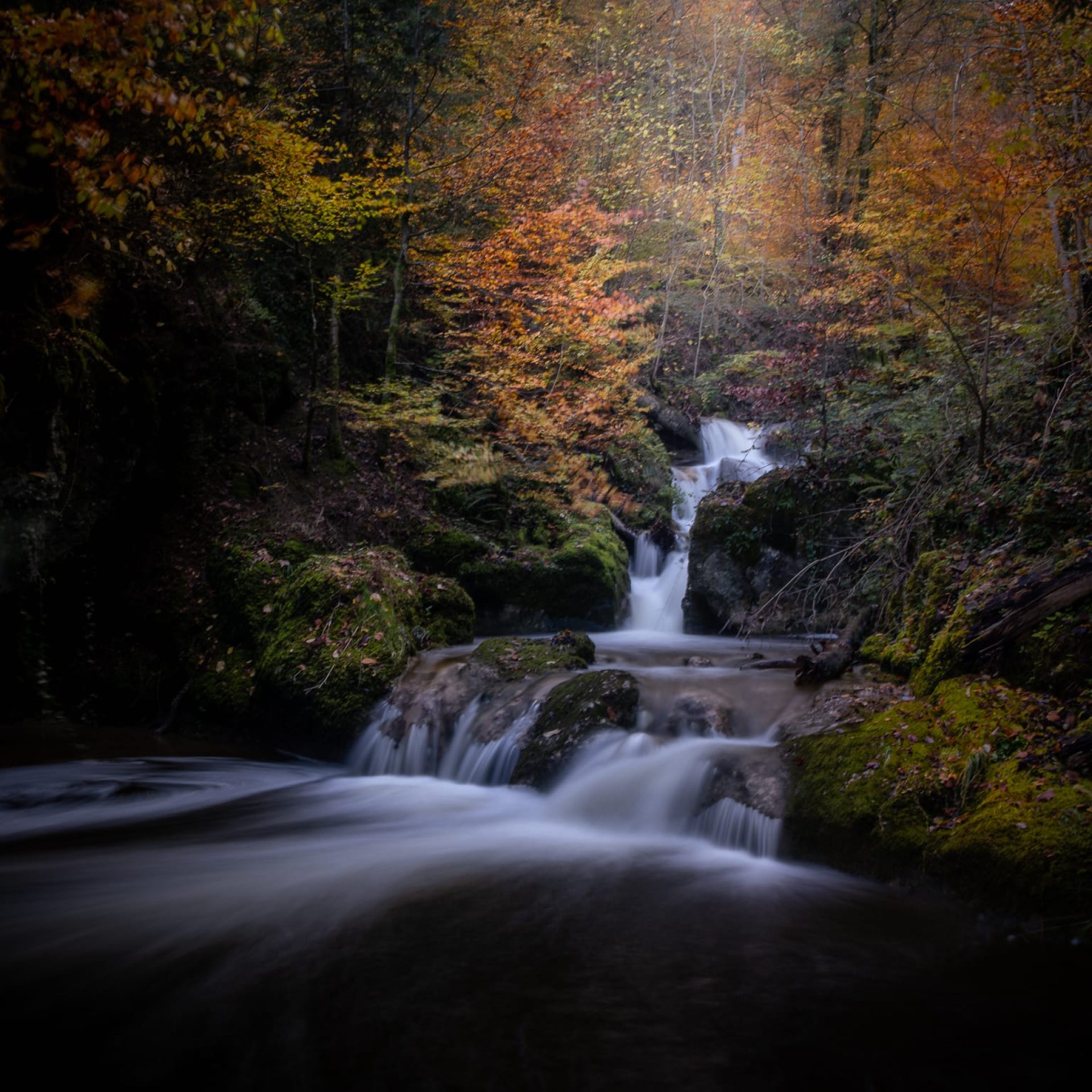 lumières d automne